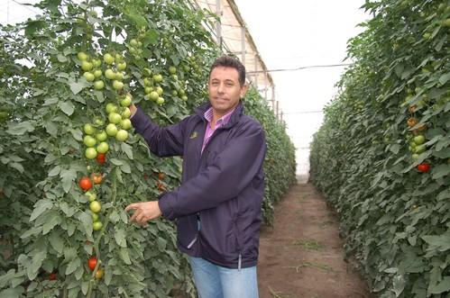 Biosabor amplía su catálogo de productos de V Gama ecológicos con dos cremas y dos zumos de tomate