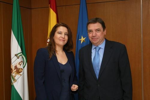 Planas aborda con la delegada del Gobierno en Andalucía los efectos de las intensas lluvias y las actuaciones de emergencia