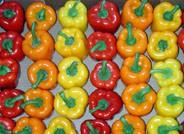 El pimiento recupera posiciones y supera ya, en algunos casos, la barrera de los 0'60 euros