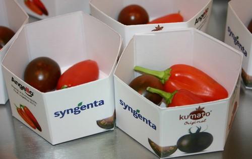 Syngenta presenta en Fruit Attraction una solución integrada para alargar la vida útil de los frutales de hueso y su premiado pimiento Angello