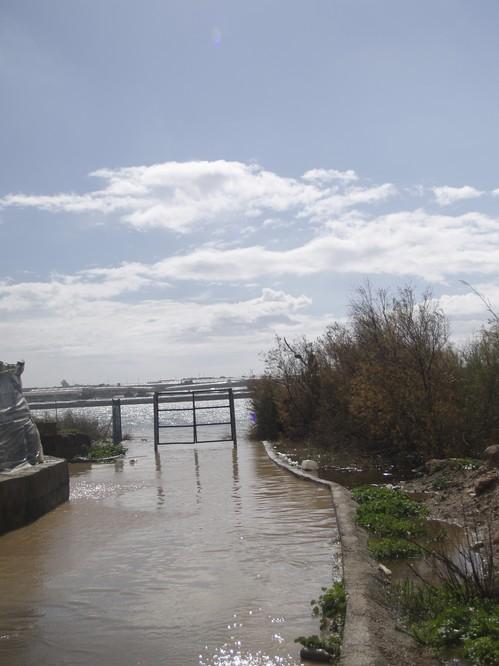 En la última quincena se ha elevado la lámina de agua de la Balsa del Sapo un centímetro al día