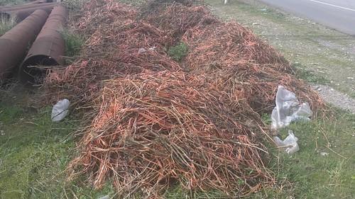 El Ayuntamiento de El Ejido solicitará a la Junta que actúe de urgencia en el tratamiento de los restos vegetales