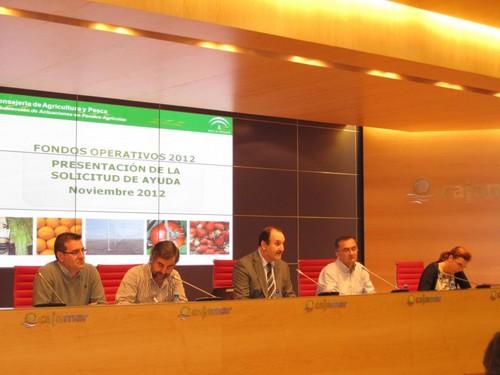 El delegado de Agricultura asegura que la horticultura almeriense podría percibir 30 millones de euros más en ayudas europeas si estuviera agrupada su totalidad en OPFH