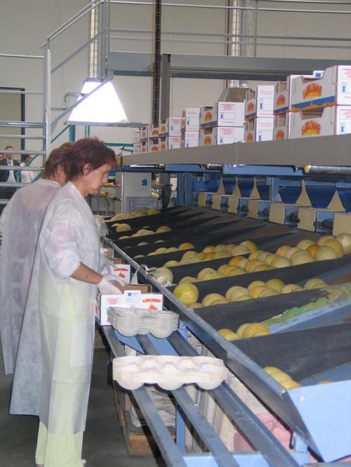 Cooperativas de Francia, Italia, Bélgica, Holanda y España piden a la CE el reforzamiento de las OPFH