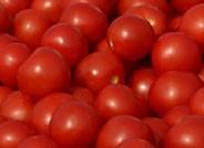 La RASFF lanza una alerta tras la detección de etefón en tomate holandés