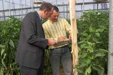 HORTYFRUTA y PROEXPORT reciben a un grupo de periodistas europeos para mostrarles el sector hortofrutícola andaluz