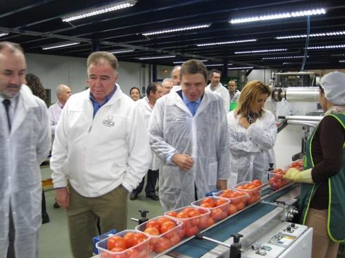 Almería inicia la campaña con un incremento del 15,7% en las exportaciones de hortalizas en septiembre