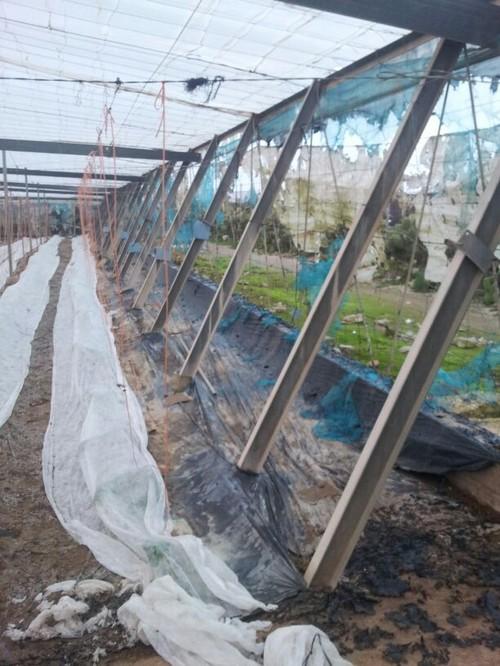 El PSOE de El Ejido pide una vez más que se incremente la seguridad en el campo