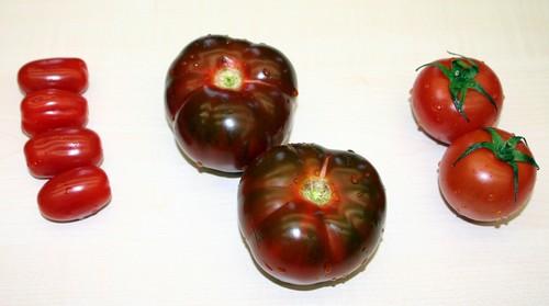 Productores de Almería y Granada ganan las tres categorías del premio al Tomate del Año 2012