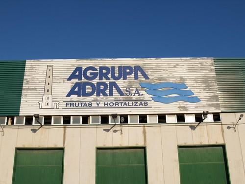 La judía garrafón se ha vendido a casi 7 euros el kilo en Agrupaadra