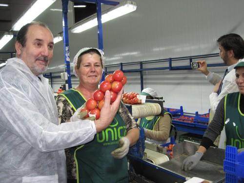 Unos 9.000 agricultores de OPFH recibirán 41 millones de los Fondos Operativos para 2013