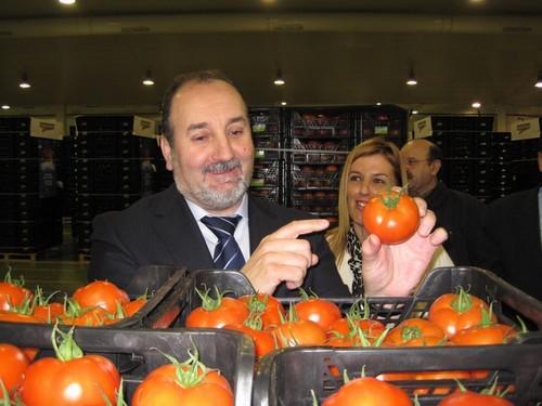 Almería exportó hasta noviembre hortalizas valoradas en 1.400 millones de euros, el 41% de toda España