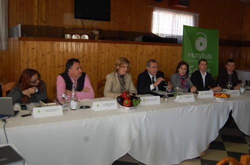 HORTYFRUTA aprueba elevar a extensión de norma las normas de calidad de melón y sandía