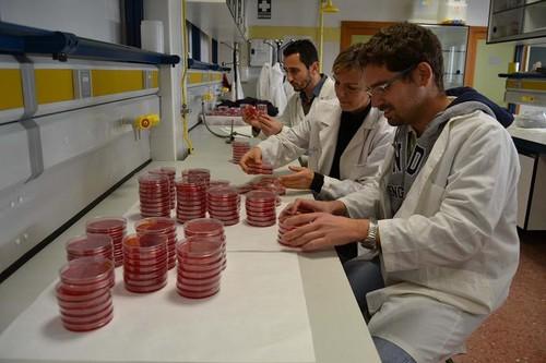 Investigadores de la UAL descubren un hongo que actúa como biofertilizante en la agricultura