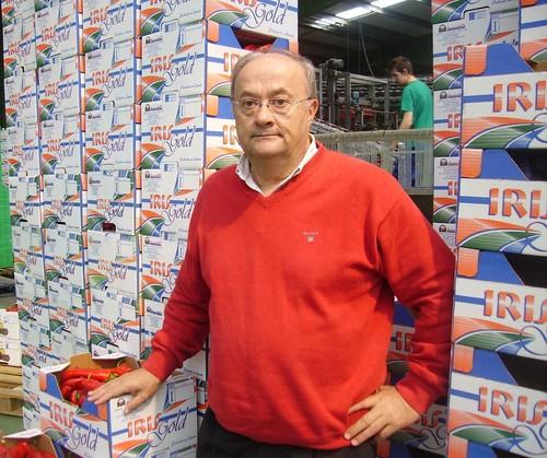 Díaz Planelles: “Agroiris ha crecido para poder dar al consumidor europeo hortalizas cultivadas con mucho sol e insectos auxiliares”