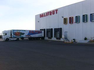 Dalifrut trabaja por aumentar su presencia en mercados que demandan productos más específicos