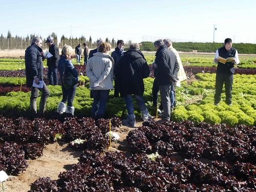 Rijk Zwaan celebra las III Jornadas Internacionales de cultivos de invierno al aire libre