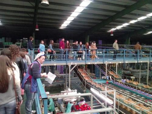 Alumnos de Economía del IES Abdera, de Adra, visitan Agroiris