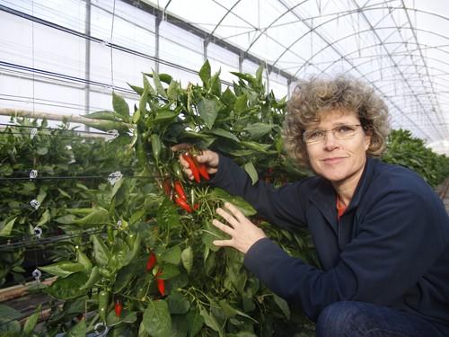 La Junta concede la Medalla de Andalucía a la empresaria ejidense Lola Gómez