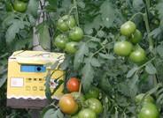 El Ministerio de Agricultura financia con casi medio millón de euros la promoción de productos agrícolas