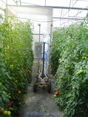 El Ifapa imparte en Purchena un curso de aplicador de plaguicidas a partir del 8 de marzo