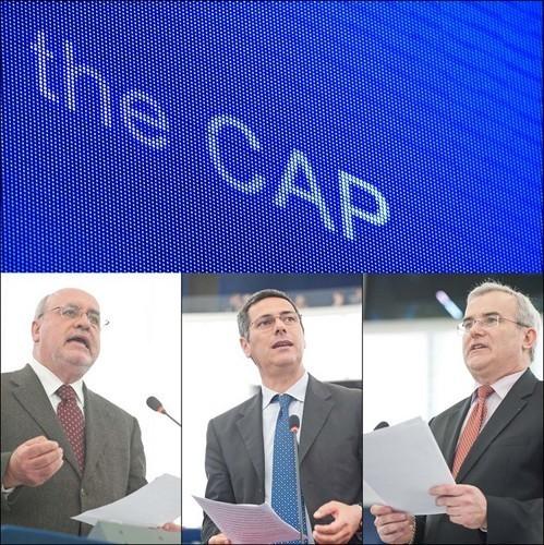El Parlamento Europeo, a favor de la actual reforma de la PAC