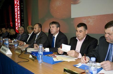 CASI recibe la felicitación de las grandes cadenas por su profesionalidad en la clasificación y envío de tomates
