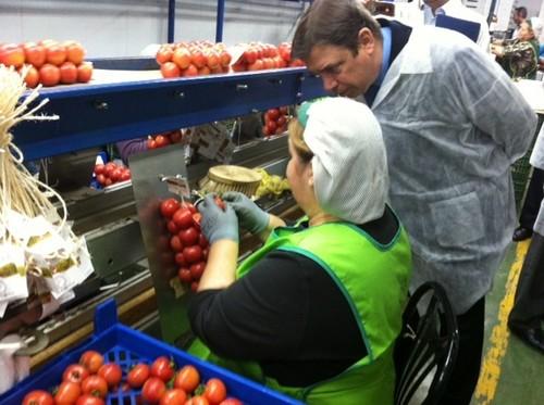 La Junta convoca para 2013 ayudas para implantar sistemas de gestión de calidad y mejorar la trazabilidad en industrias agroalimentarias