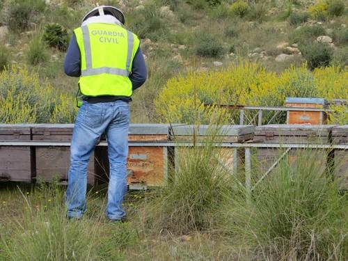 La Guardia Civil detiene al autor del robo de más de 300 colmenas