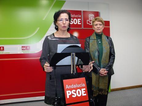 El PSOE pide al Gobierno que aclare ya qué consideración tendrá la horticultura bajo plástico tras la reforma agraria