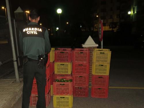 La Guardia Civil detiene a los dos autores del robo de más de 400 Kg. de tomates en el Poniente Almeriense