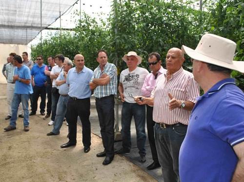 De Ruiter organiza un viaje a Canarias para presentar  sus portainjertos y sus novedades a los principales semilleros de la Península Ibérica