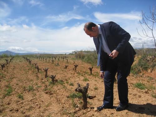 Casi el 50% del vino que exportan las bodegas de Almería se vende en EE. UU., Japón y Hong-Kong