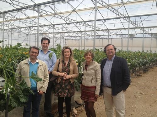 Centros tecnológicos agroalimentarios andaluces se reúnen en TECNOVA para buscar estrategias que fomenten la I+D+i