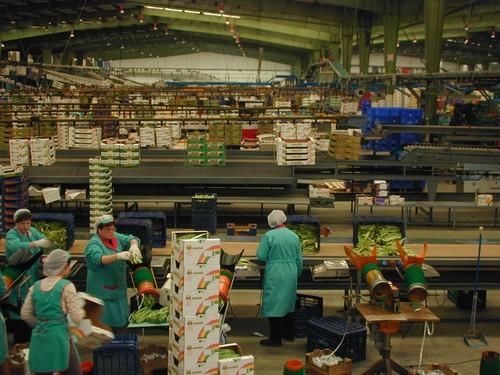 El Grupo de Trabajo Interministerial aprueba las Líneas Estratégicas para la Internacionalización del Sector Agroalimentario