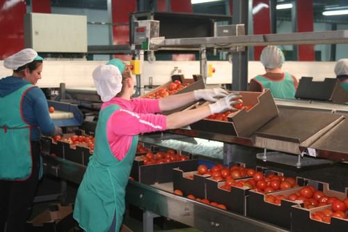 Ecofin reconoce la gestión de CASI con el premio 'Titanes de las Finanzas 2013'