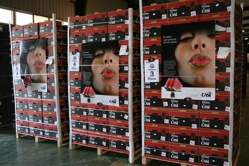 CASI presenta este viernes su campaña de sandía y melón