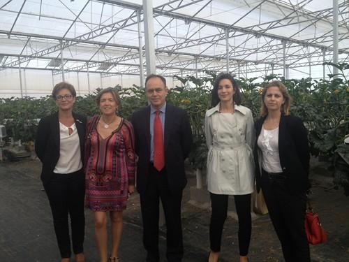 La Junta fomenta la I+D+i en la horticultura intensiva en colaboración con la Fundación TECNOVA