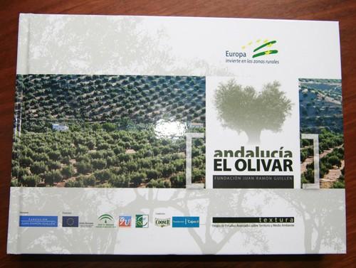 Judit Anda destaca el peso del olivar como cultivo insignia de Andalucía y fuente de riqueza y empleo en el medio rural