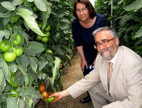 La Junta pone en marcha  nuevos proyectos de transferencia, formación e investigación en horticultura y riego