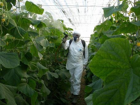 La Junta de Andalucía imparte en Huércal-Overa un curso de aplicador de plaguicidas, de nivel cualificado