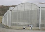 Los seguros agrarios constituyen una herramienta estratégica del Gobierno para mantener la renta de los agricultores