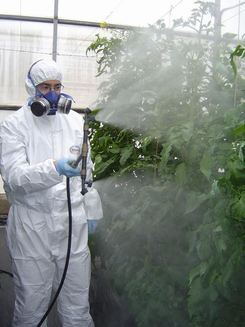 La Junta de Andalucía imparte en La Mojonera un curso de fumigador para aplicadores de fitosanitarios