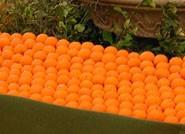 Alemania compra más del 30% de las naranjas que exporta Almería
