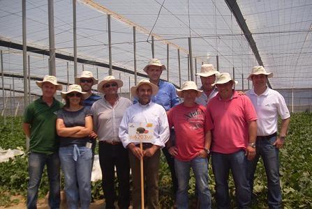 La nueva variedad de melón piel de sapo de Seminis conquista a agricultores, técnicos y compradores