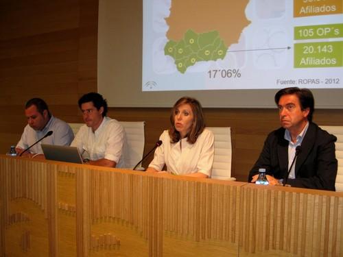 Las organizaciones de productores hortofrutícolas de Almería recibirán 41 millones euros en ayudas, el 59,5% de Andalucía