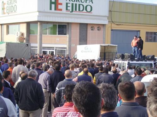 El Tribunal Supremo anula la sanción de la CNC a ASAJA-Almería por considerar que no hubo acuerdo de precios mínimos