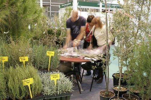 Iberflora Business Club refuerza la internacionalización de Iberflora