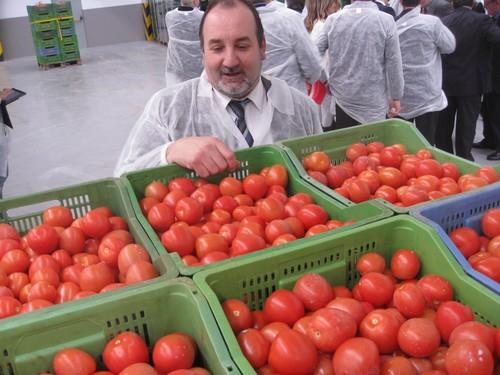 Almería exporta hasta mayo hortalizas frescas valoradas en 1.000 millones de euros, un 6% más que en 2012
