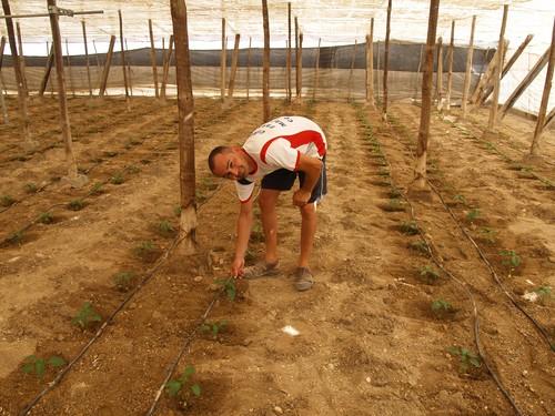 Cajamar financia la incorporación de los jóvenes al sector agroalimentario